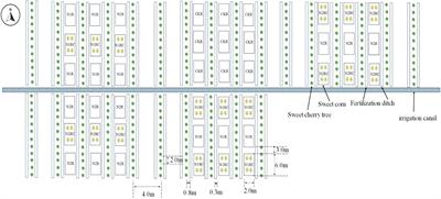 Simulation analysis of the preventative effects of planting sweet corn on nitrate leaching in a cherry greenhouse soil